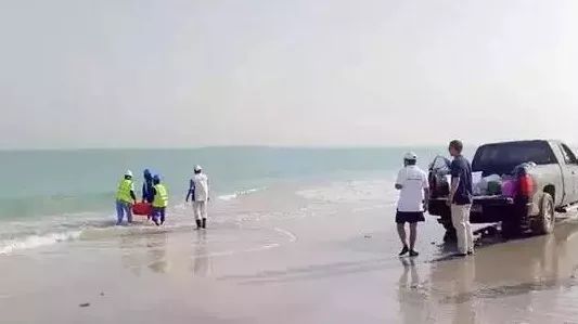 亚洲必赢国际·437ccm(中国区)官方网站