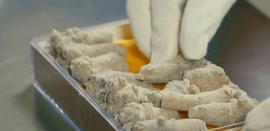 亚洲必赢国际·437ccm(中国区)官方网站