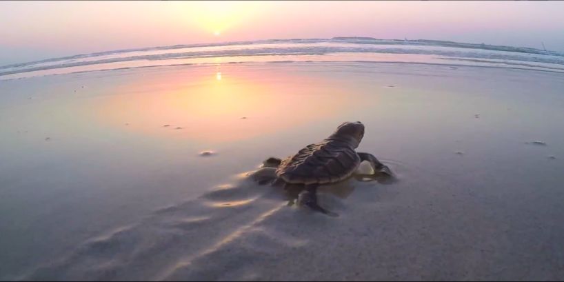 亚洲必赢国际·437ccm(中国区)官方网站