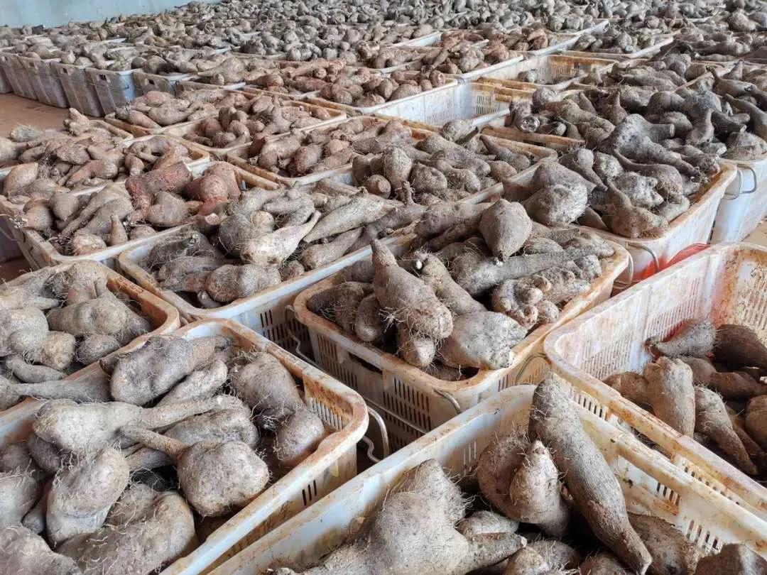 亚洲必赢国际·437ccm(中国区)官方网站