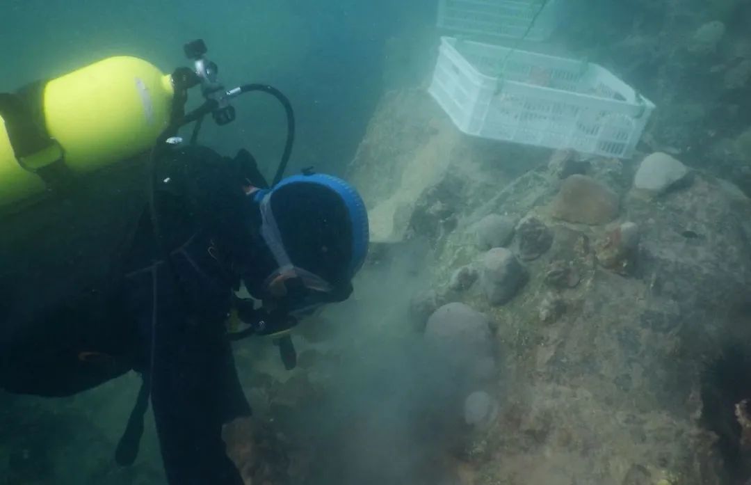 亚洲必赢国际·437ccm(中国区)官方网站