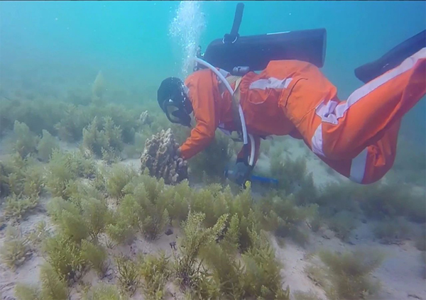 亚洲必赢国际·437ccm(中国区)官方网站