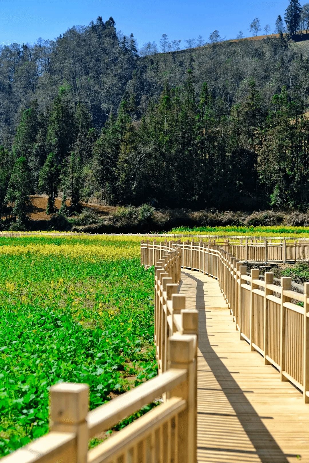 亚洲必赢国际·437ccm(中国区)官方网站