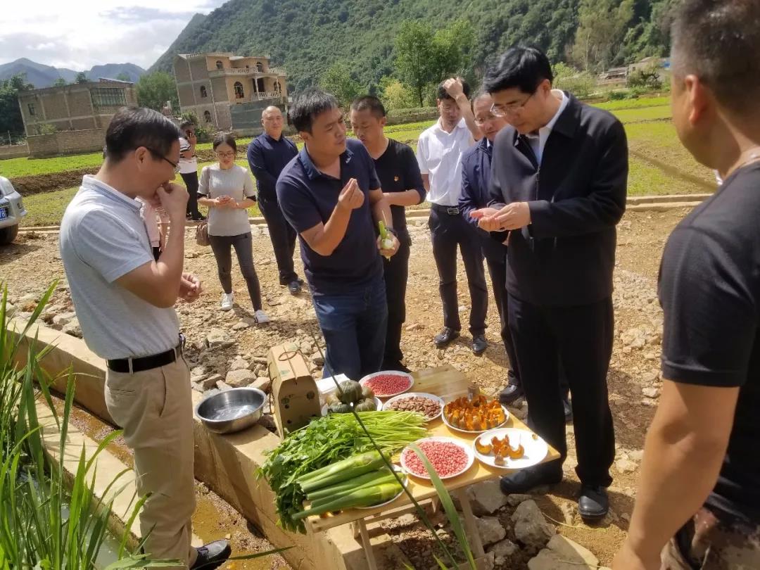 亚洲必赢国际·437ccm(中国区)官方网站