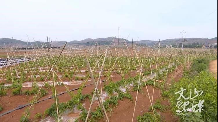 亚洲必赢国际·437ccm(中国区)官方网站