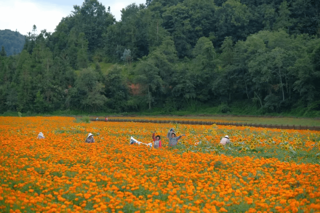 亚洲必赢国际·437ccm(中国区)官方网站