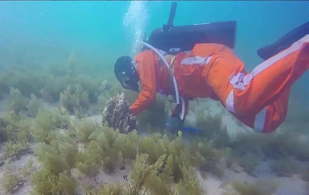 亚洲必赢国际·437ccm(中国区)官方网站